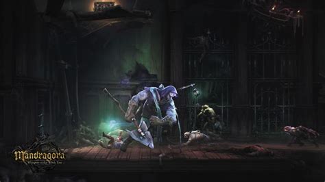 witch hunt game|This new grim metroidvania will test your skills on Xbox and PC .